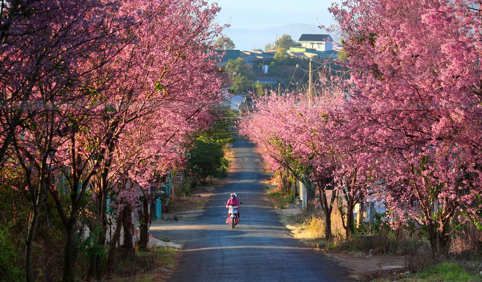 best time to visit da lat vietnam